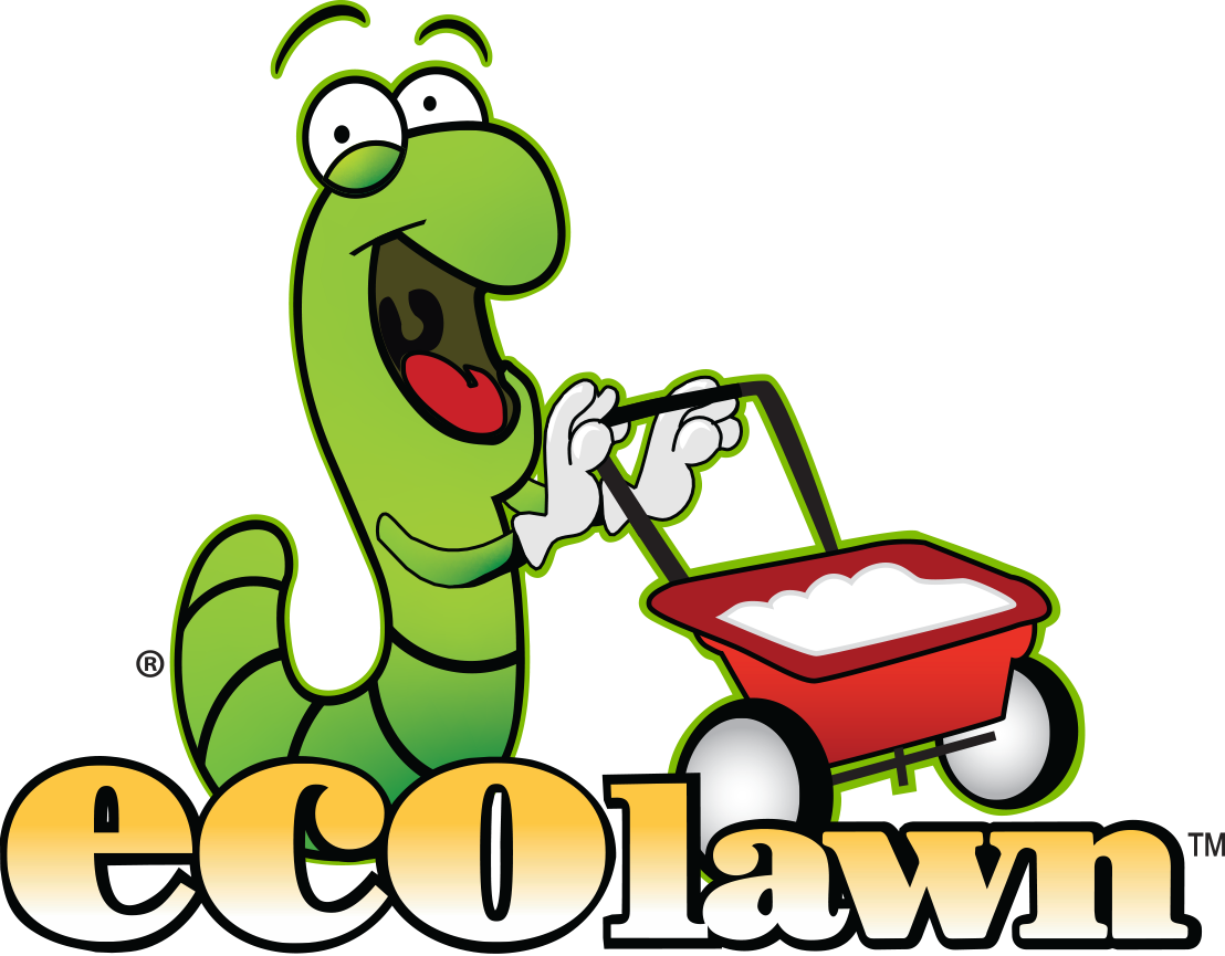 new lawn Archives - Ecolawn