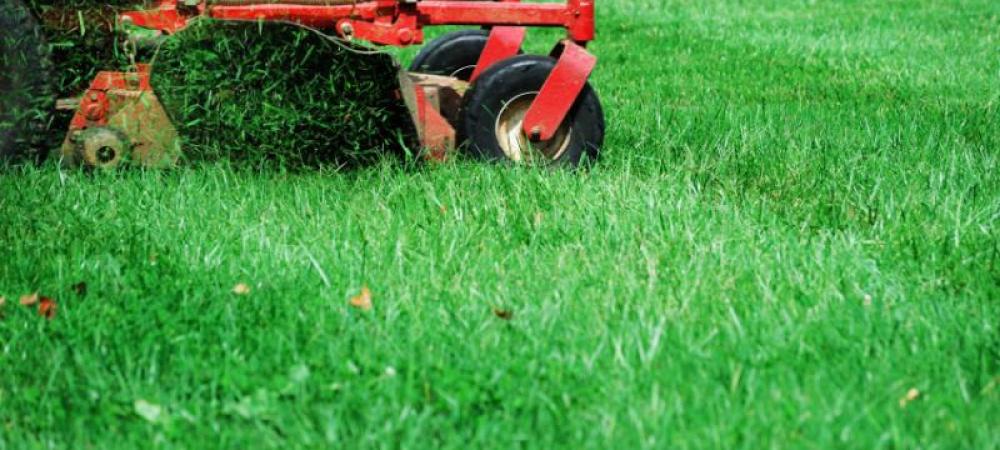 lawn mowing at the beginning of the season in mentor, OH