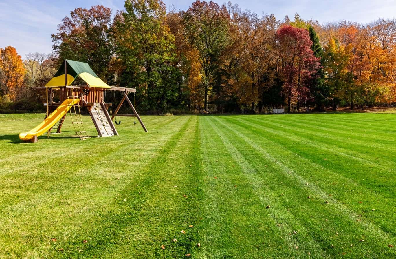 A thick, freshly striped green lawn beside a backyard playset with fall foliage in the background