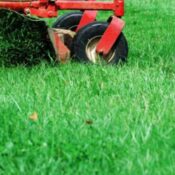 lawn mowing at the beginning of the season in mentor, OH